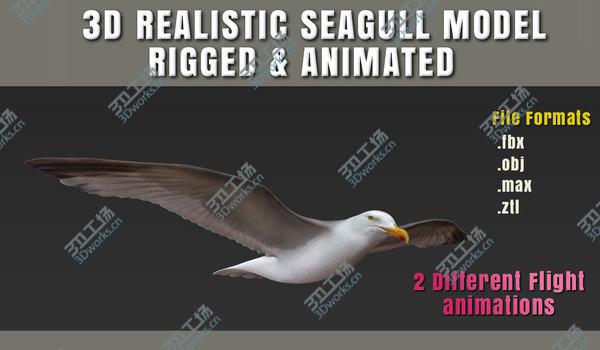 images/goods_img/20210312/HIGH DETAILED SEAGULL 3D MODEL  FULLY RIGGED & ANIMATED/1.jpg